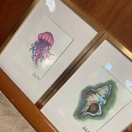 Ботель Alejandro Magno Понта-Делгада