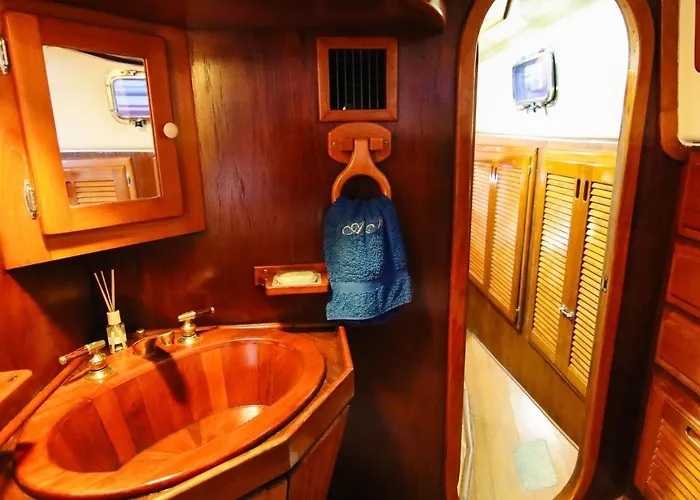 Alejandro Magno Ponta Delgada